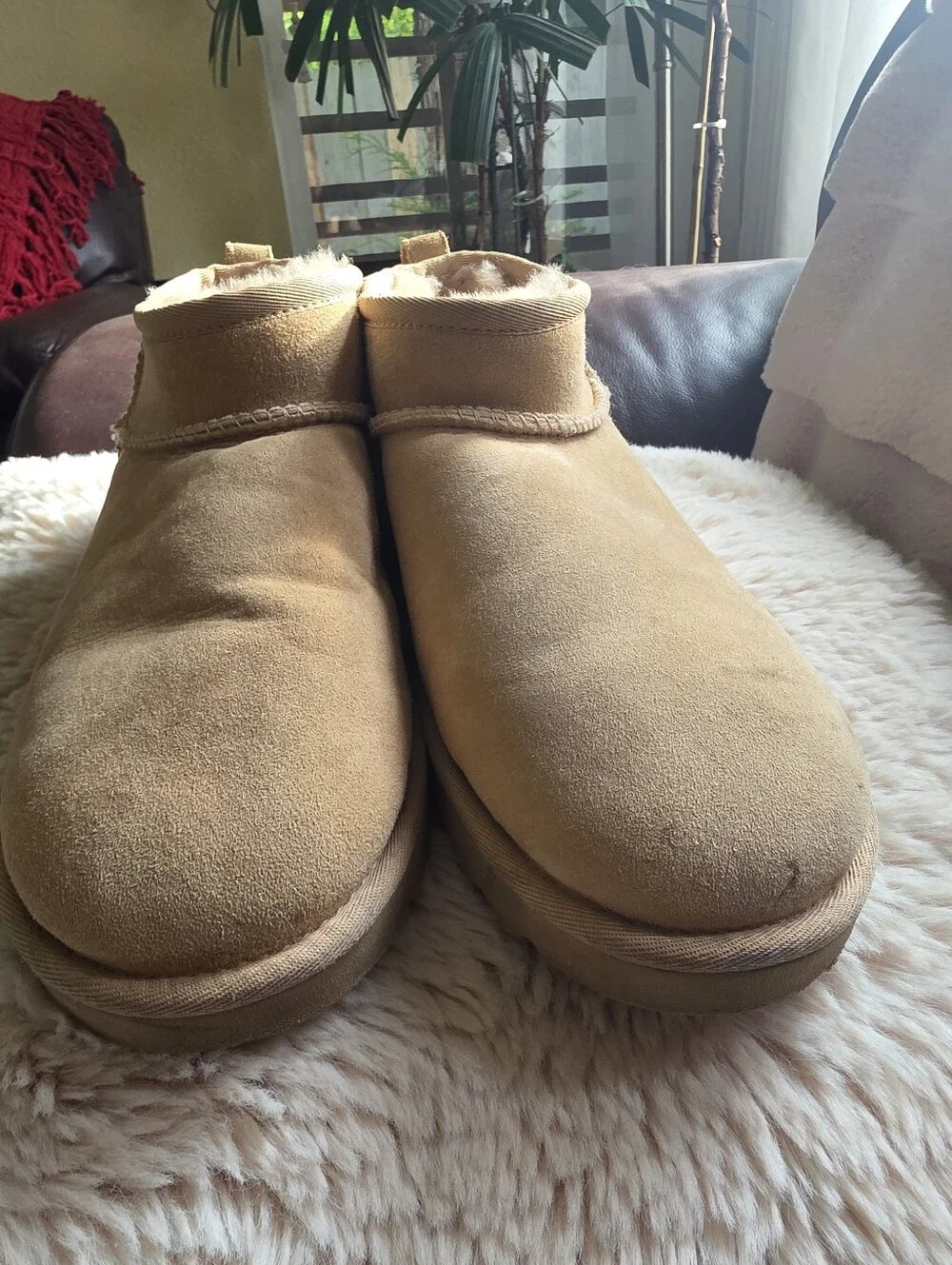 UGG Mini Booties in Chestnut Suede Size Usa 10